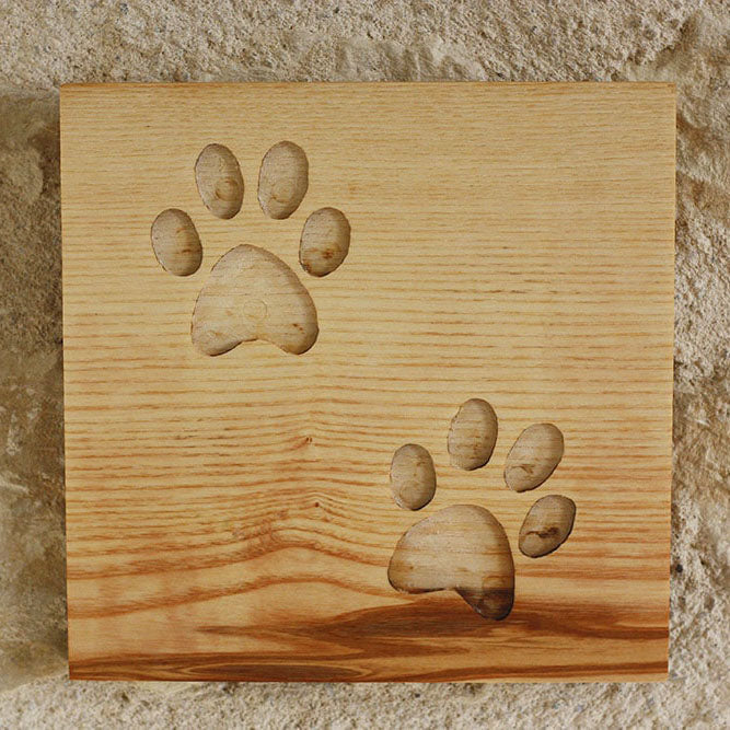 Cat paws painting